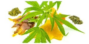 Live Resin Sauce | Live Resin 2g Disposable Vape For Sale