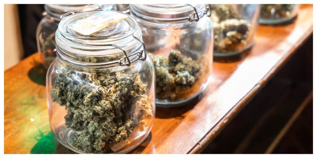 Top Flavorful Weed Strains You’ll Love