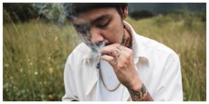 Top 30 Exotic Cannabis Strains to Try in 2026