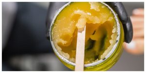 Live Resin vs Rosin Badder | Live Resin vs Rosin Badder 2g