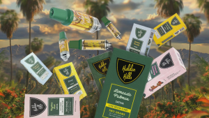 Hidden Hills Disposable Vapes | Hidden Hills Vapes
